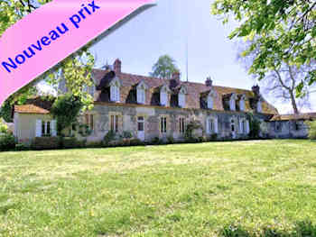 Manoir XIXe à vendre à 15 min de Moulins-sur-Allier 03, rénové, 339 m² habitables 11 pièces. Environnement sauvage, parc 9500 m², anciennes écuries